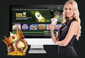 panda55 app interface on Android showing live casino and sportsbook options